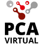 Aula Virtual PCA